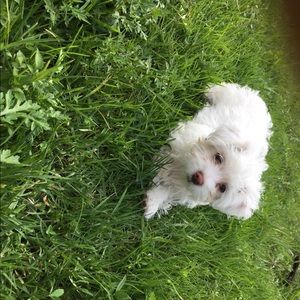 Meet your Posher, Jojo